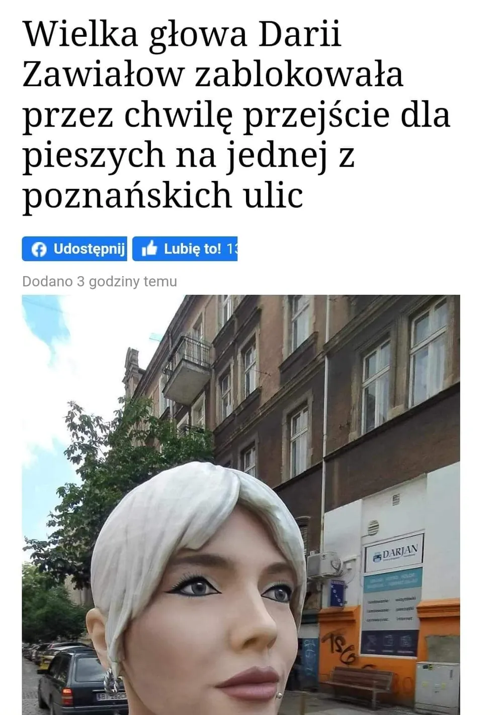 Wielka głowa Darii Zawiałow