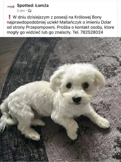Dolar od strony przepompowni