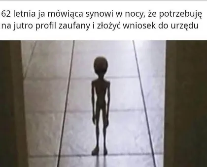 Potrzebuję na jutro profil zaufany