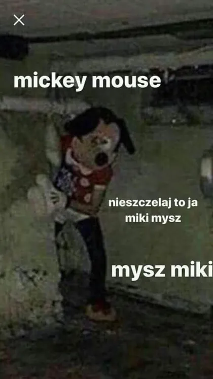 To ja miki mysz