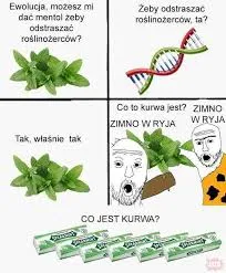 Zimno w ryja