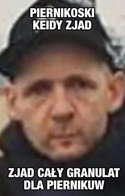 Piernikoski keidy zjad cały granulat dla piernikuw