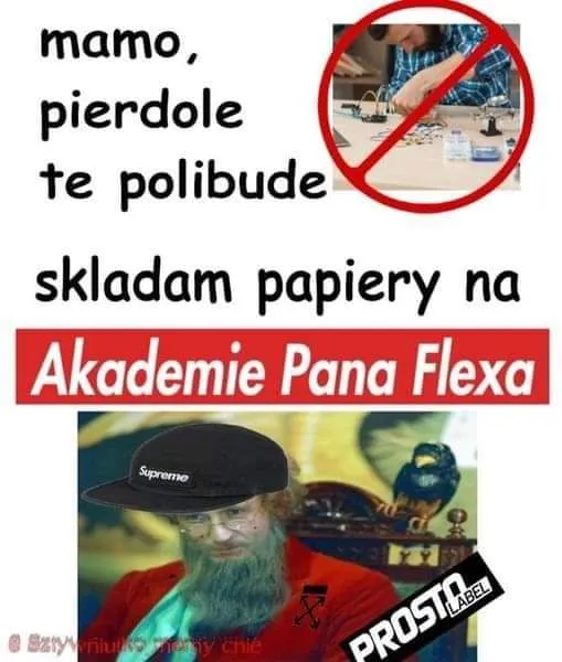 Akademia Pana Flexa