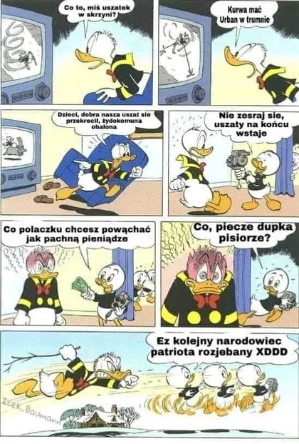 Co to, miś uszatek w skrzyni?