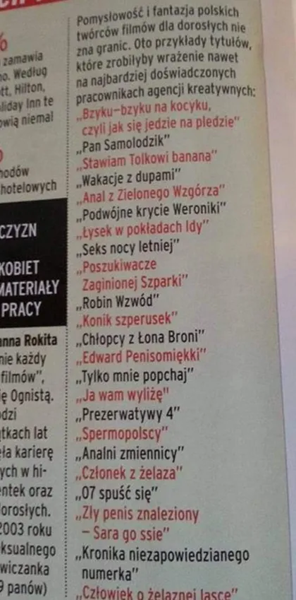Pomysłowość i fantazja polskich twórców