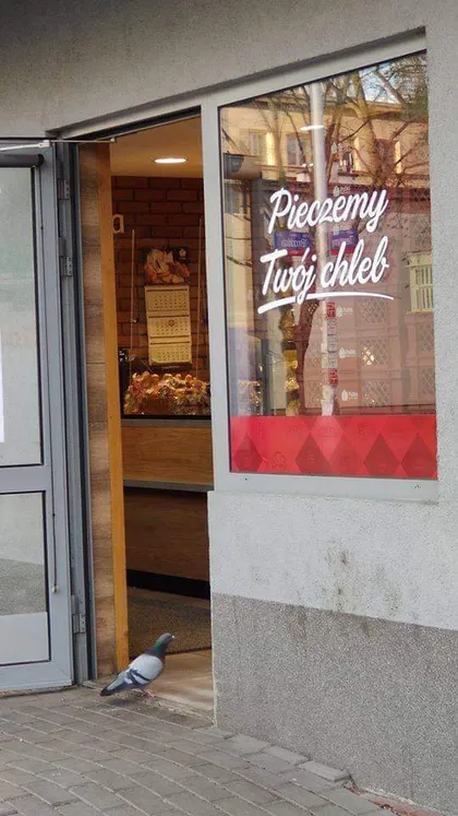 Pieczemy Twój chleb (gołąb)