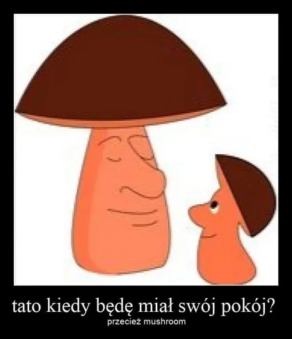 Przecież mushroom