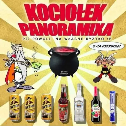 Kociołek Panoramixa