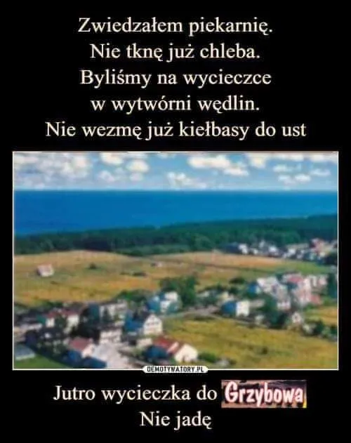 Jutro wycieczka do Grzybowa