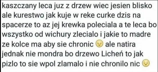 Kaszczany już lecą z drzew