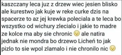 Kaszczany już lecą z drzew