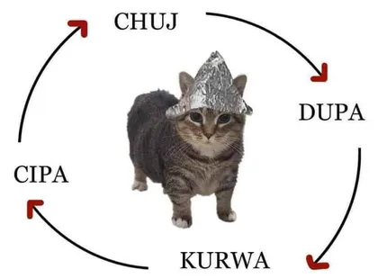 Chuj dupa kurwa cipa