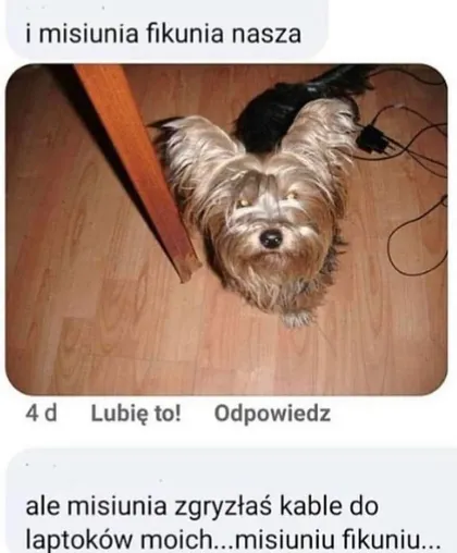 Misiunia Fikunia