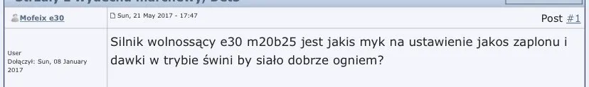 Tryb świni by siało dobrze ogniem
