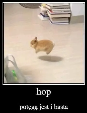 Hop potęgą jest i basta