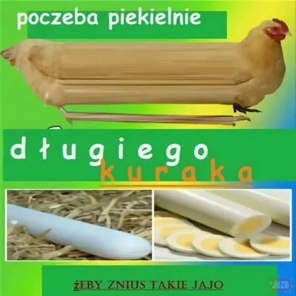 Poczeba piekielnie długiego kuraka