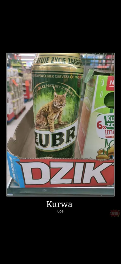 Żubr dzik kurwa łoś