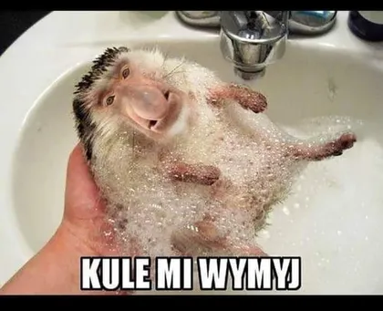 Kule mi wymyj