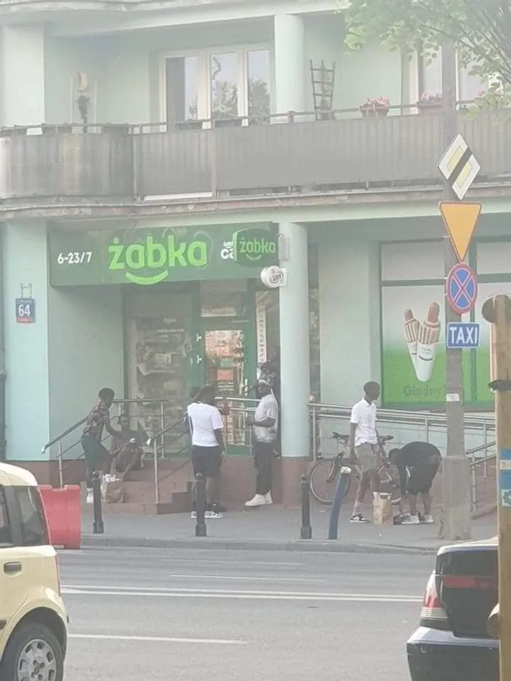 Żabka i przyjaciele