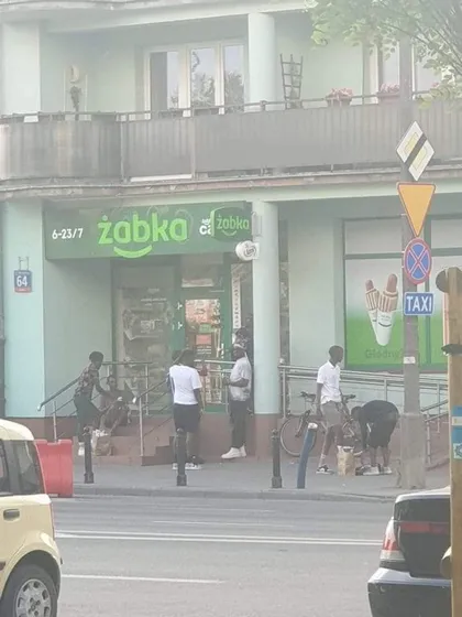 Żabka i przyjaciele