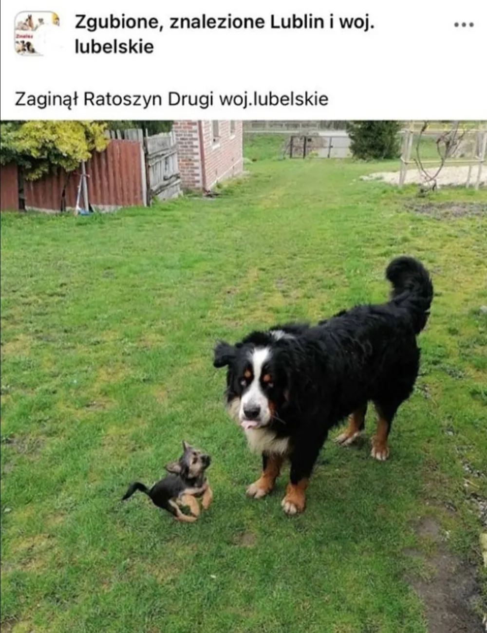 Ratoszyn Drugi woj.lubelskie