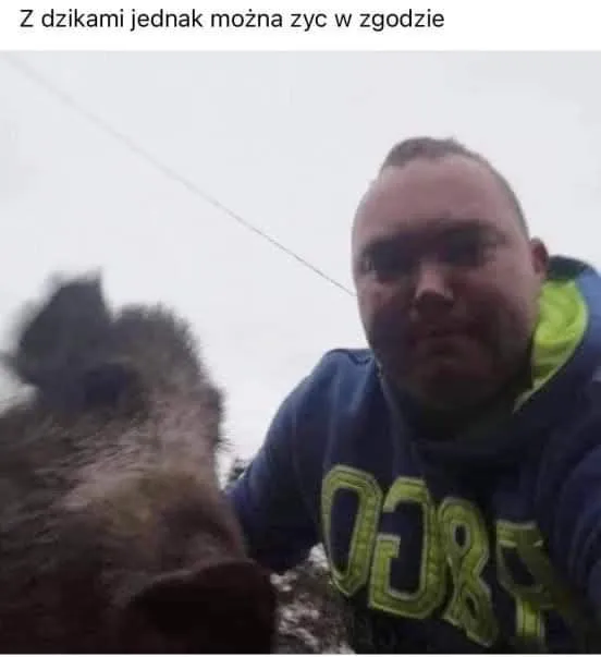 Z dzikami jednak można żyć w zgodzie