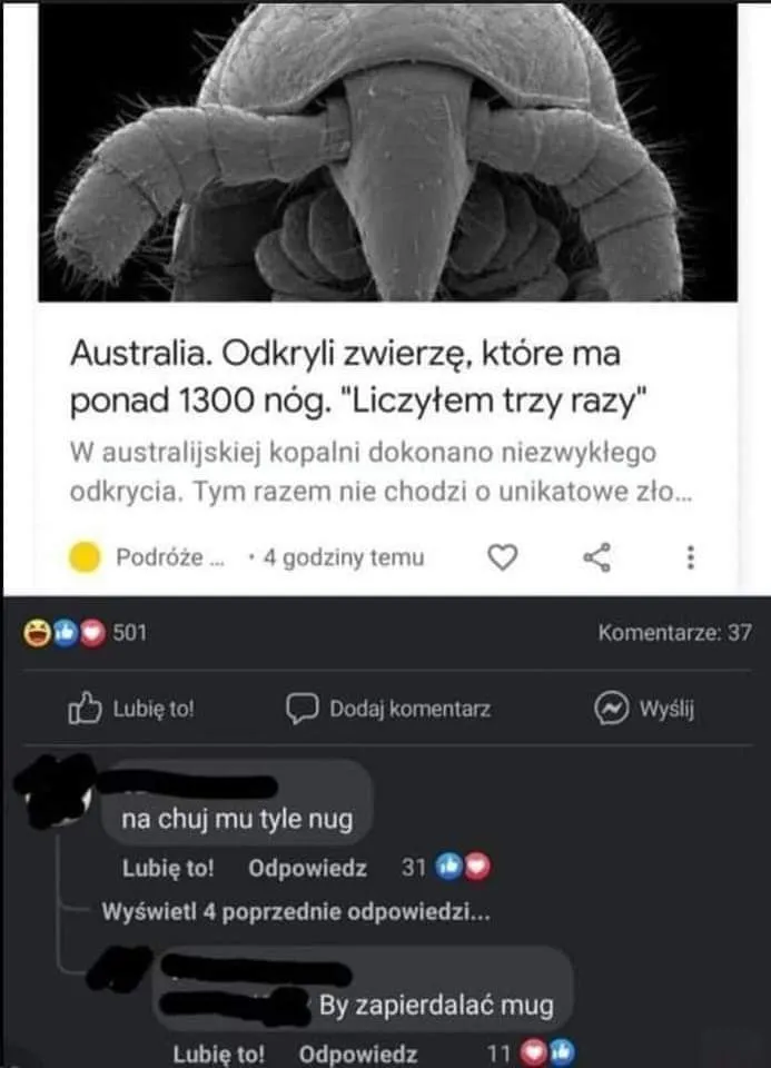 Na chuj mu tyle nug