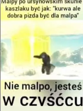 Nie małpo, jesteś w czyśćcu