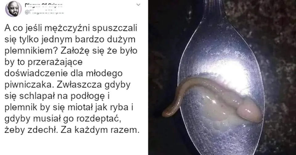Jeden bardzo duży plemnik