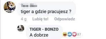 Tiger a gdzie pracujesz