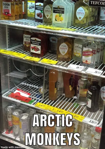 Małpka Arctic Monkeys