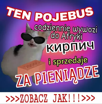 Ten pojebus wywozi kirpicz