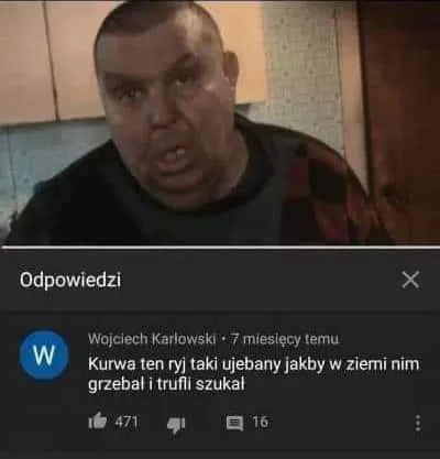 Jakby grzebał i trufli szukał Kononowicz