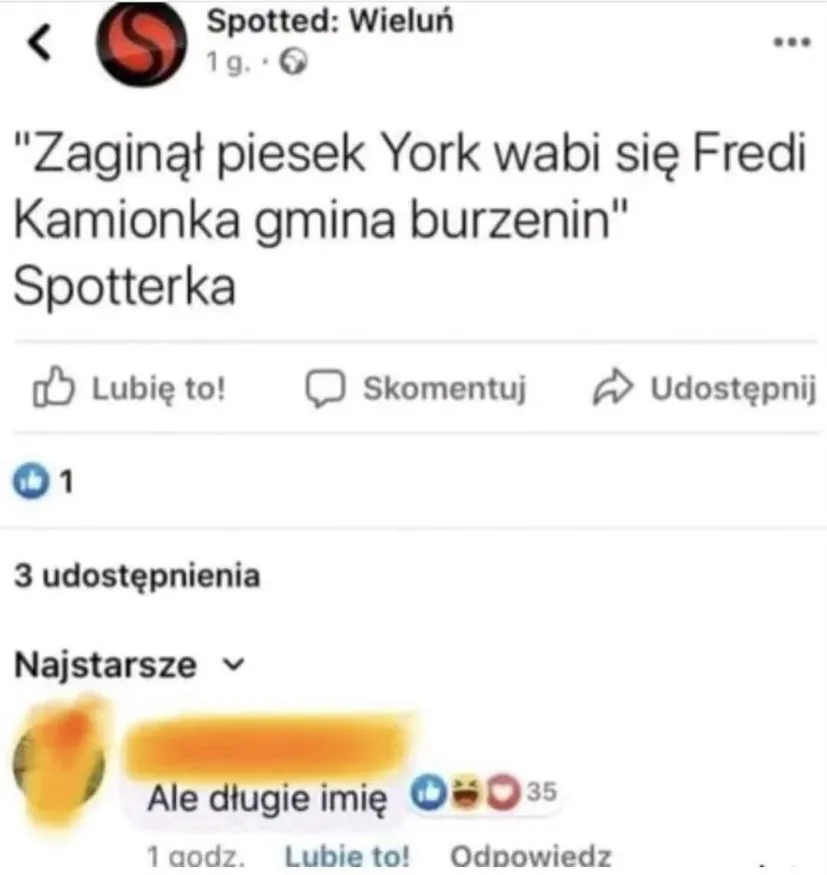 Fredi Kamionka gmina burzenin