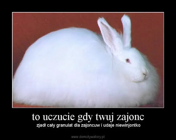 Granulat dla zajoncuw